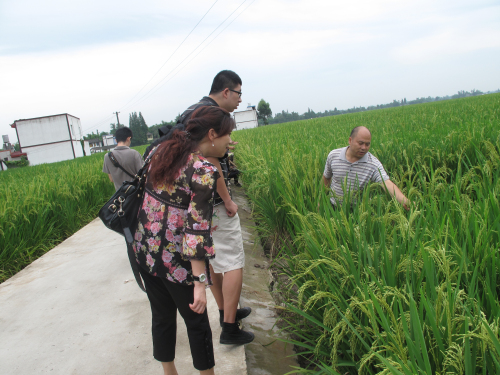 四川加快建設(shè)優(yōu)勢(shì)種子生產(chǎn)基地