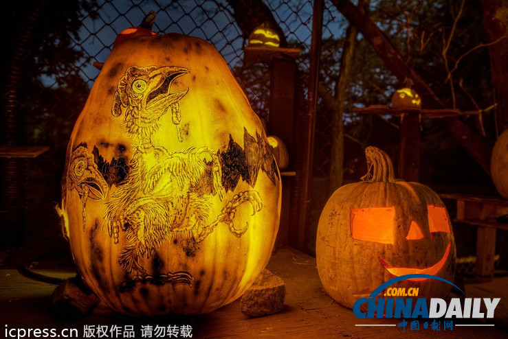 美國舉行創(chuàng)意南瓜燈展 數(shù)千作品讓人眼花繚亂