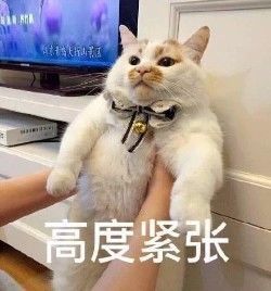 美國(guó)人有多愛夸人？居然飆車過(guò)來(lái)夸我鞋子美？？？
