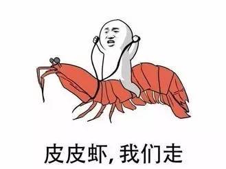2017年最火的網(wǎng)絡(luò)流行語是這些！