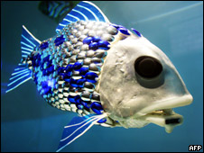 The London Aquarium 倫敦水族館的機(jī)器魚