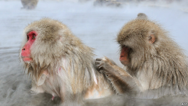 You scratch my back 你幫我,我助你