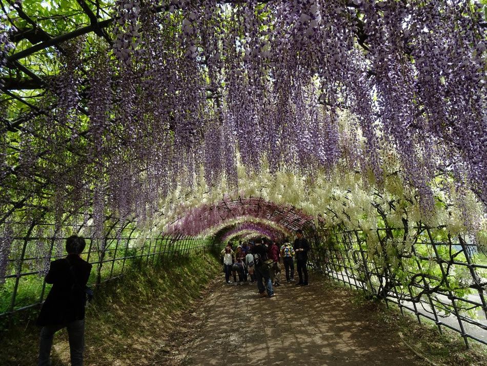 繽紛、靈動、斑斕：世界上最美的18座花園