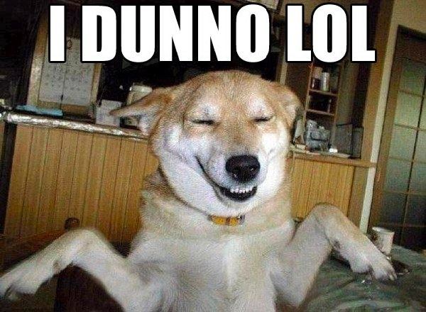 “LOL理論”是什么鬼？