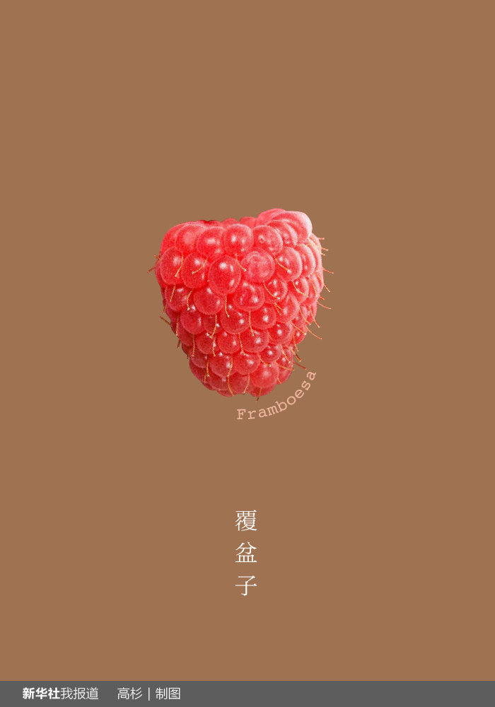 “瘋狂水果城”里約：給你點(diǎn)顏色瞧瞧！
