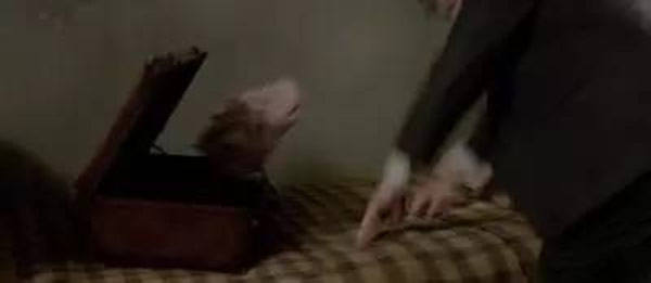 《神奇動物》里都有哪些神奇的動物？