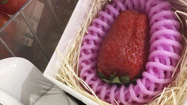 這種草莓150元一顆，一定很好吃……吧？