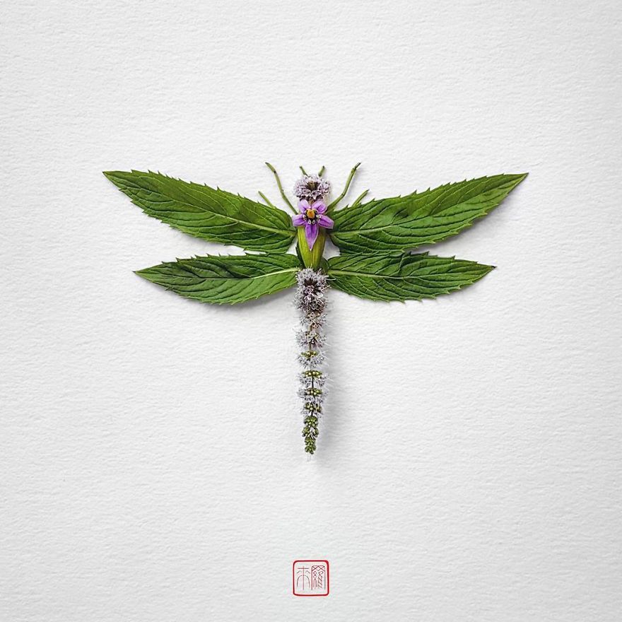 你怕蟲子嗎？來(lái)看看這些用花瓣做成的蟲子（組圖）