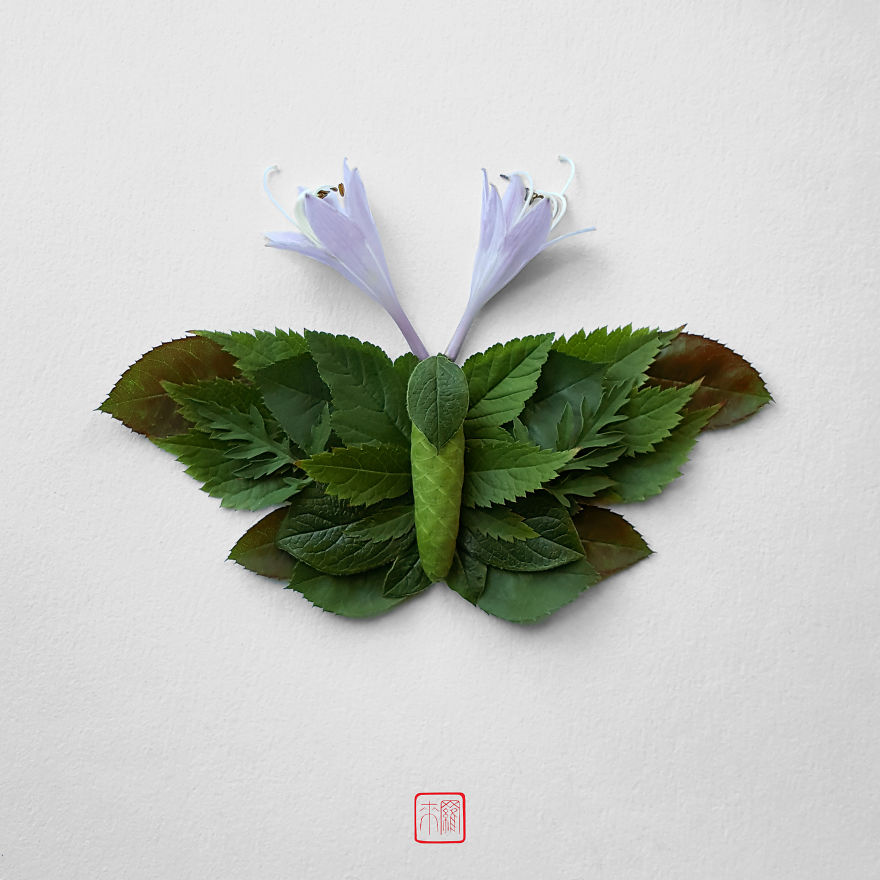你怕蟲子嗎？來看看這些用花瓣做成的蟲子（組圖）