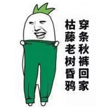 秋冬御寒指南：秋褲穿不穿，這是個(gè)問題
