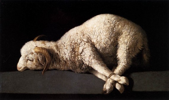 替罪羊（scapegoat）、敗家羊（black sheep），為何英語(yǔ)中背鍋的總是羊