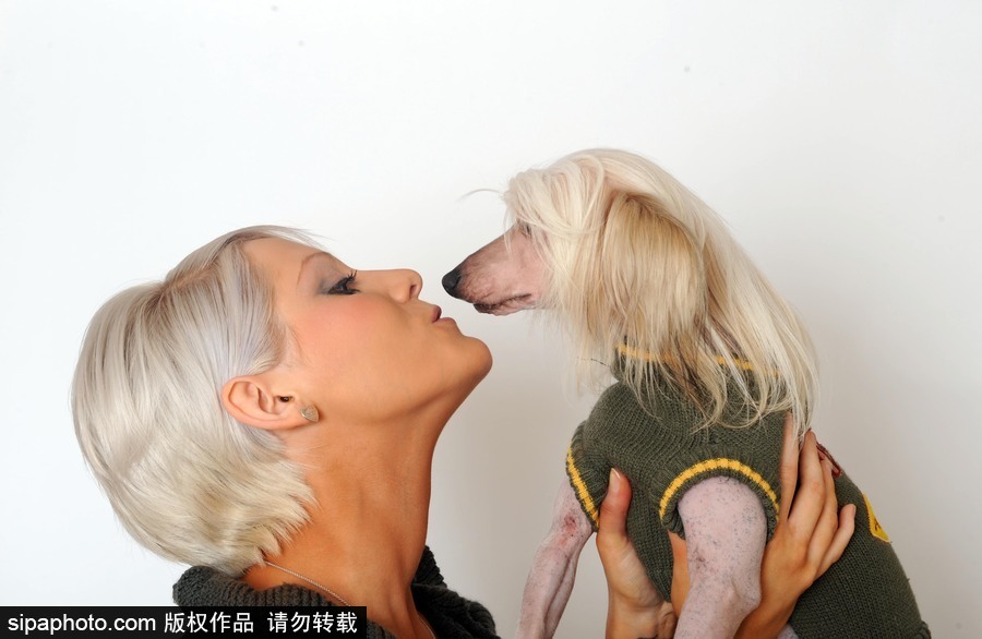 人不如狗系列！走進(jìn)全世界最奢華的狗狗生活（組圖）