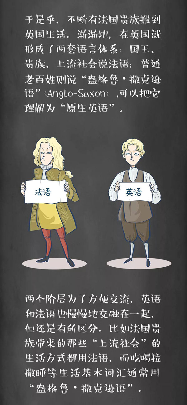 為什么牛是cow，而牛肉卻是beef？