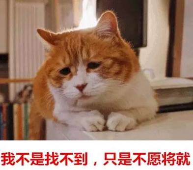 你單身的原因找到了！調(diào)查：七成人不愿將就，半數(shù)男生看臉