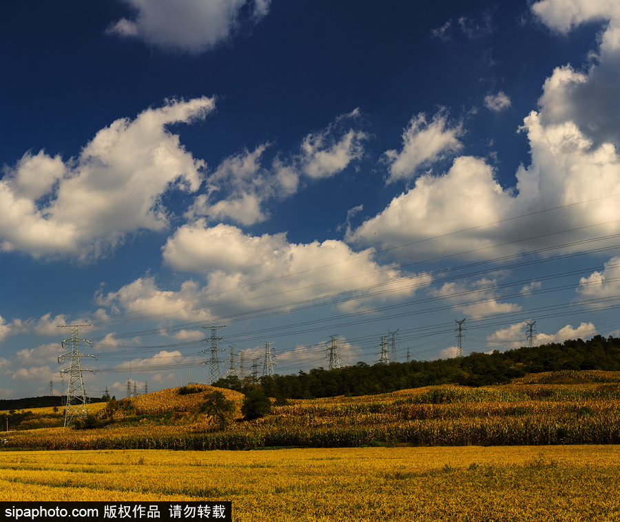 藍(lán)天白云刷屏！盤(pán)點(diǎn)風(fēng)清日朗的絕美風(fēng)光 為眼睛降溫