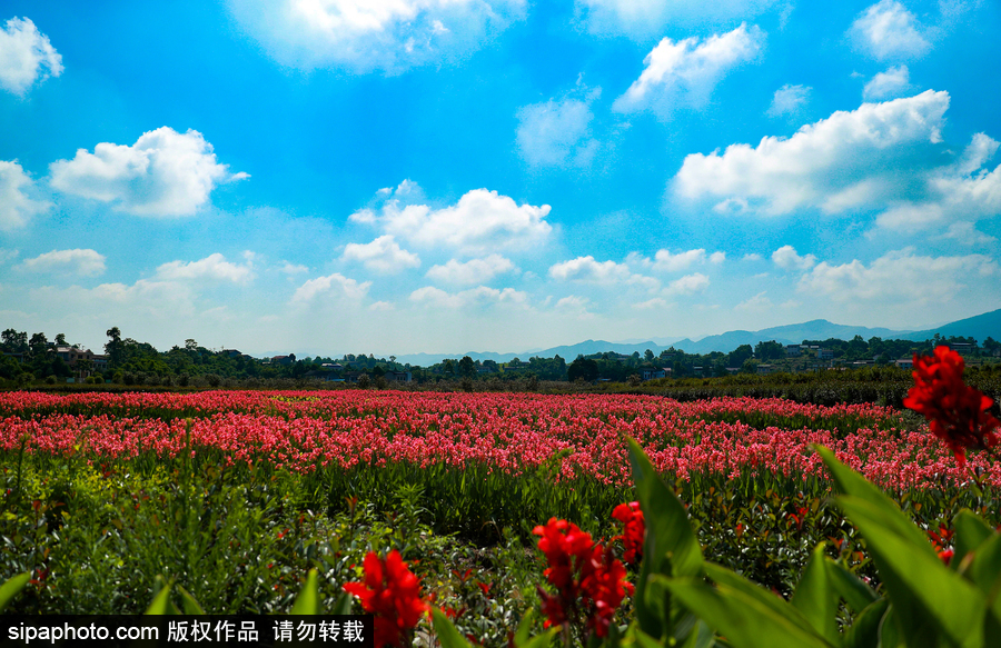 藍天白云刷屏！盤點風(fēng)清日朗的絕美風(fēng)光 為眼睛降溫