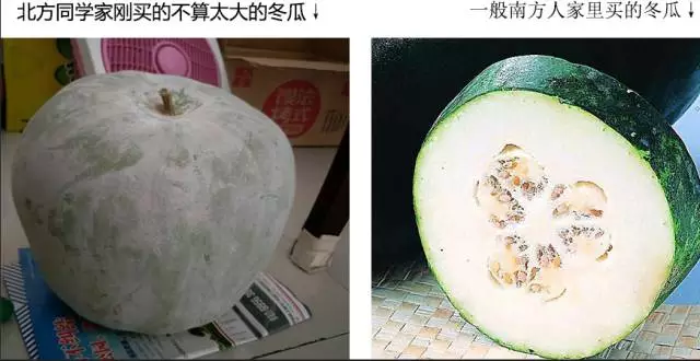 “南北差異”大討論：南方買菜買一頓，北方買菜買一噸？