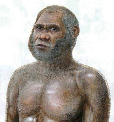 Latest fossils shed lights on evolution and the migration of man