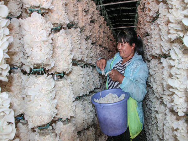 Baicheng moves mountains to rid itself of poverty