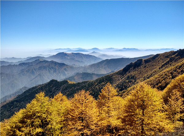 1478832883245027964.jpg Sights