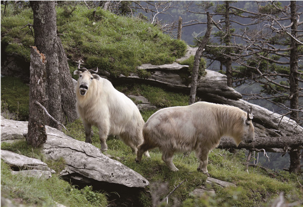 1478832883340068919.jpg Sights