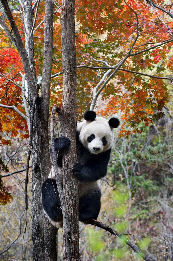 1478832883339037250.jpg Sights