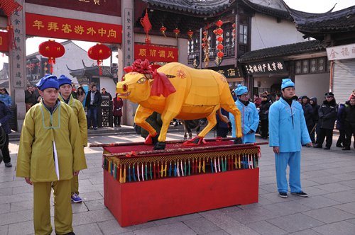 Zhouzhuang hosts Spring Festival cattle drumming custom