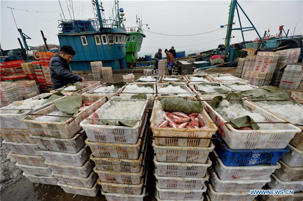 In pics: Winter fishing in China's Shandong