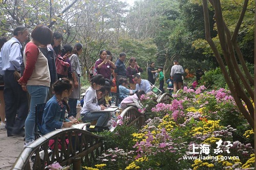 Young painters depict beauty of Nanxiang