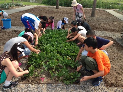 Chenshan summer camp closed successfully