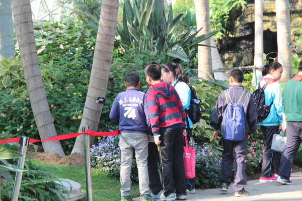 Chenshan Botanical Garden holds 'The Amazing Plant Searching Race’