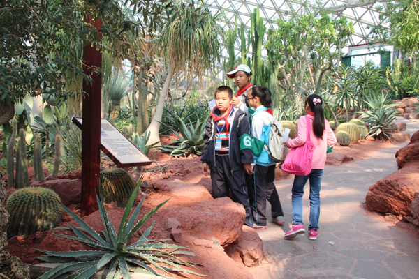 Chenshan Botanical Garden holds 'The Amazing Plant Searching Race’