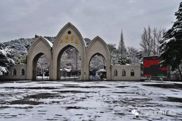 Savor snowy fairyland in Sheshan