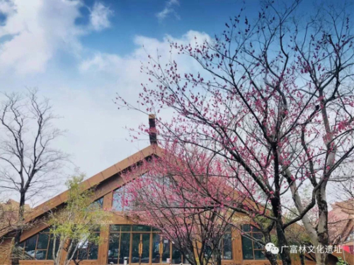 Sheshan offers huge discounts for women's day