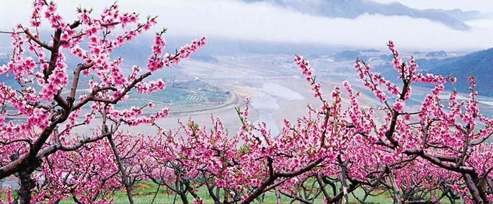 Shanxi's scenic spots good for self-driving trips