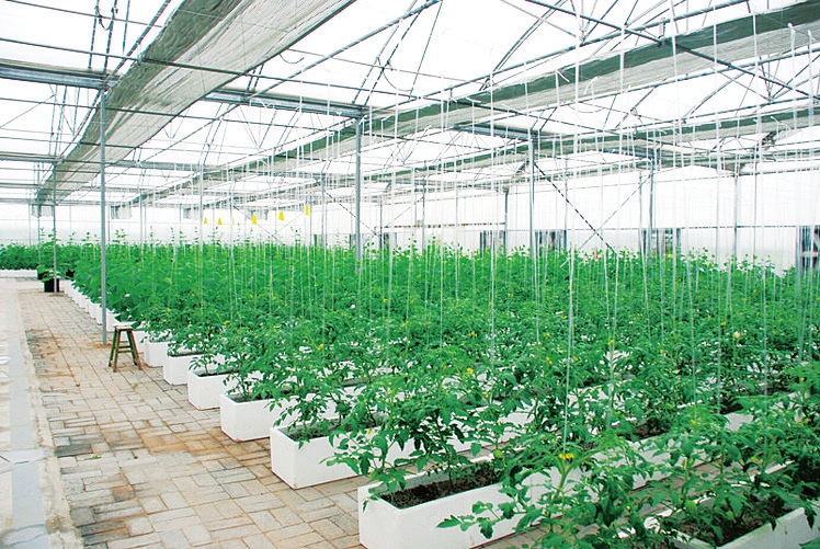 Shanxi's scenic spots good for self-driving trips