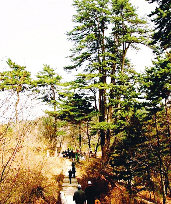 Shanxi's scenic spots good for self-driving trips