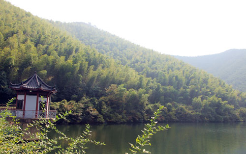Tucked away in a bamboo sea