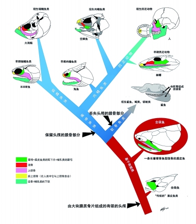 學者發(fā)現(xiàn)