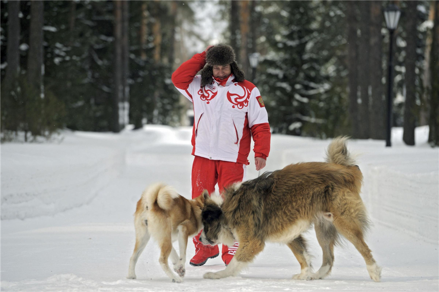Putin plays with dogs on the snow