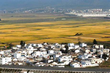 云南會(huì)澤金鐘鎮(zhèn)：一個(gè)新興的小康村[組圖]