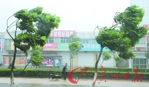 臺(tái)風(fēng)巨爵造成廣東百萬人受災(zāi)1人失蹤(組圖)